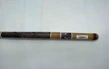 Load image into Gallery viewer, Hand-Painted Percussion Music Musical Rainmaker Bamboo Stick
