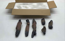 Load image into Gallery viewer, Lot Of 6 Pcs Resin Wooden Home Decor Brown Logs In Open Box
