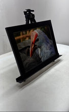 Load image into Gallery viewer, Gray Headed Swamphen Majestic Bird Framed Wall Art Print Signed By M. Bach
