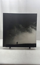Load image into Gallery viewer, Decorative Wall Hanging Framed White Black Silent Walk Art Painting By Rau Jala

