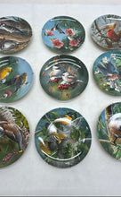 Load image into Gallery viewer, Knowles Kevin Daniel 9-Piece Collectable Birds Ceramic Wall Hanging Plates
