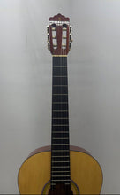 Load image into Gallery viewer, Palmer PC138NAT Beige Brown 6-String Acoustic Guitar In Case Musical Instrument
