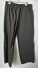 Load image into Gallery viewer, Zara Womens Dark Gray Pinstripe Elastic Waist Drawstring Trouser Pants Size XL
