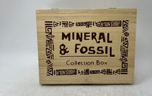 Load image into Gallery viewer, Lot Of Assorted Mineral And Fossil Specimens Display Collection Box
