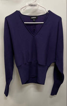 Load image into Gallery viewer, Express Womens Purple Long Sleeve V-Neck Stretch Pullover Sweater Size XS
