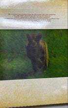 Load image into Gallery viewer, Safari A Photicular Illustrated Hardcover Book By Dan Kainen And Carol Kaufmann
