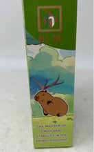 Load image into Gallery viewer, Happy Capybara Building Blocks M3148 Relaxation Master Complete Set Sealed
