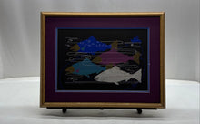 Load image into Gallery viewer, Signed Artwork Simply Sumptuous Salmon Wall Hanging Home Decor Art Painting
