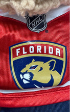 Load image into Gallery viewer, NHL Multicolor Florida Panthers Teddy Bear Plush Stuffed Toys
