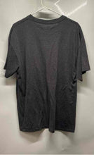 Load image into Gallery viewer, NFL Mens Gray Graphic Print Miami Dolphins Victory Arch T-Shirt Size L/G
