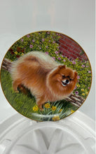 Load image into Gallery viewer, Danbury Mint Springtime Delight Pomeranians Collection Limited Edition Plate
