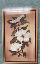 Load image into Gallery viewer, Framed Louisiana Mud Painting Art By Henry Neubig Magnolia Flowers Signed
