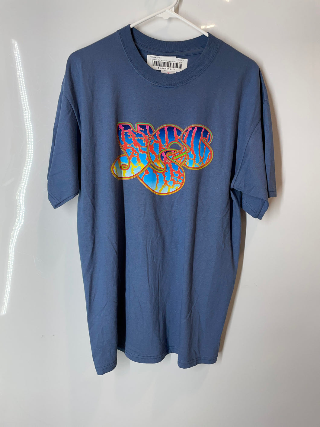 Anvil Mens Blue Cotton Short Sleeve Crew Neck Concert Graphic T-Shirt Size Large