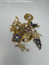 Load image into Gallery viewer, Pins Or Brooches Multicolored (20 Pcs)
