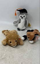 Load image into Gallery viewer, Ty Beanie Baby Roary the Lion Owl Chip Cat Plush Toys Lot Of 3 Pcs With Tags
