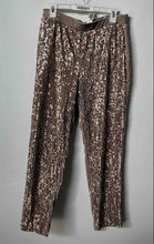 Load image into Gallery viewer, Chico's Womens Taupe Sequin Flat Front Straight Leg Ankle Pants Size 1.5
