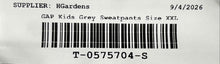 Load image into Gallery viewer, GAP Kids Gray Tapered Leg Drawstring Sweatpants Size XXL With Tag
