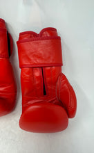 Load image into Gallery viewer, YAG Mens Red Leather Punching Sparring Beginners Training 12oz Boxing Gloves
