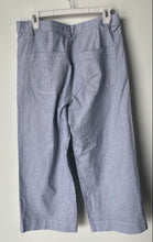Load image into Gallery viewer, J.Crew Mens Ella Gray Flat Front Pockets Wide-Leg Cropped Pants Size 29

