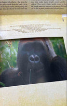 Load image into Gallery viewer, Safari A Photicular Illustrated Hardcover Book By Dan Kainen And Carol Kaufmann
