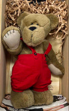 Load image into Gallery viewer, Applause Bonita Bears Beever Collectibles Limited Edition Plush Teddy Toy

