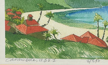 Load image into Gallery viewer, Bailey Carambola USVI Landscape Signed Square Framed Art Painting
