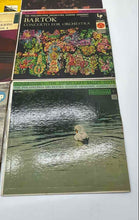 Load image into Gallery viewer, Lot Of 9 Pcs Assorted Mixed Variety Of Classical LP Music Vinyl Records Albums
