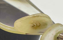 Load image into Gallery viewer, Authentic Bvlgari Women's Tortoise Dark Havana Rimless Glasses

