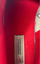 Load image into Gallery viewer, Nike Mens Dunk Low HJ9100-294 Tan Red Low Top Lace-Up Sneaker Shoes Size 9
