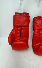 Load image into Gallery viewer, YAG Mens Red Leather Punching Sparring Beginners Training 12oz Boxing Gloves
