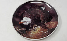 Load image into Gallery viewer, Lot Of 2 Pcs Multicolor Bald Eagle Decorative Collector Plates
