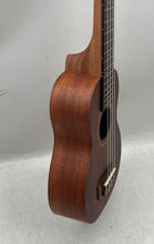 Load image into Gallery viewer, Palmer Brown Traditional &amp; Folk Music 4-Strings Acoustic Soprano Ukulele
