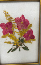 Load image into Gallery viewer, Set Of 3 Pcs Botanical Pressed Flower Art Wall Decorative Framed Artwork
