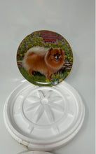 Load image into Gallery viewer, Danbury Mint Springtime Delight Pomeranians Collection Limited Edition Plate
