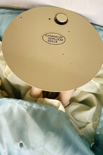 Load image into Gallery viewer, 2 Pcs Franklin Heirloom Disney Cinderella &amp; Brinn&#39;s Collectible Porcelain Dolls
