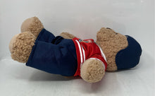 Load image into Gallery viewer, NHL Multicolor Florida Panthers Teddy Bear Plush Stuffed Toys
