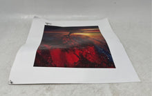 Load image into Gallery viewer, Lithographic Print Awakening Created By The Artist Ashton Howard Painting
