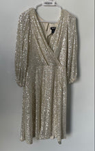 Load image into Gallery viewer, DKNY Womens Beige Silver Sequin Long Sleeve Belted A-Line Dress Size 14
