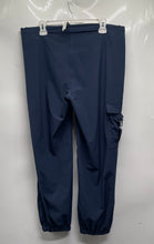 Load image into Gallery viewer, Alo Womens Blue Flat Front Pockets Straight Leg Cargo Pants Size Small
