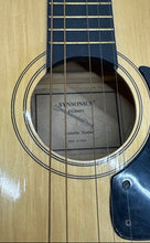 Load image into Gallery viewer, Synsonics FG908N Beige Brown Right-Handed 6 String Acoustic Guitar
