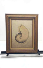 Load image into Gallery viewer, Nautilus Shell Framed Decorative Canvas Oil Painting Wall Art By Cooper
