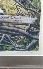 Load image into Gallery viewer, Bald Eagle Perched On Nest Art Print Framed And Signed By Christi Mathews
