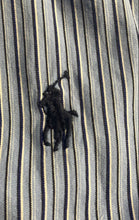 Load image into Gallery viewer, Ralph Lauren Mens Blue Striped Classic Fit Long Sleeve Button-Up Shirt Size M
