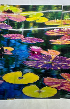 Load image into Gallery viewer, Home Decorative Water Lily And Lotus Flower Pond Scene 3-Piece Wall Art Prints
