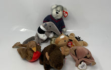 Load image into Gallery viewer, Lot Of 6 Pcs Ty Beanie Baby Multicolor Various Collectible Plush Toys

