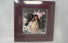 Load image into Gallery viewer, Lot Of 4 Pcs Native American Themed Wall Hanging Home Decorative Framed Prints
