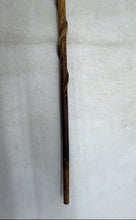 Load image into Gallery viewer, Hand-Carved Brown Handmade Folk Art Collectible Walking Stick Cane
