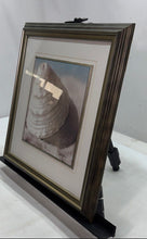 Load image into Gallery viewer, Classic Pearly Conical Spiral Seashell Framed Art Print Signed By Christine E.
