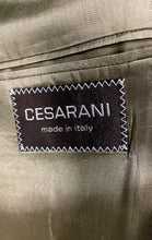 Load image into Gallery viewer, Cesarani Mens Beige Pleated Front Slash Pockets Straight Leg Dress Pants No Size
