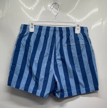 Load image into Gallery viewer, Zara Mens Blue Striped Elastic Waist Swim Shorts Size Medium
